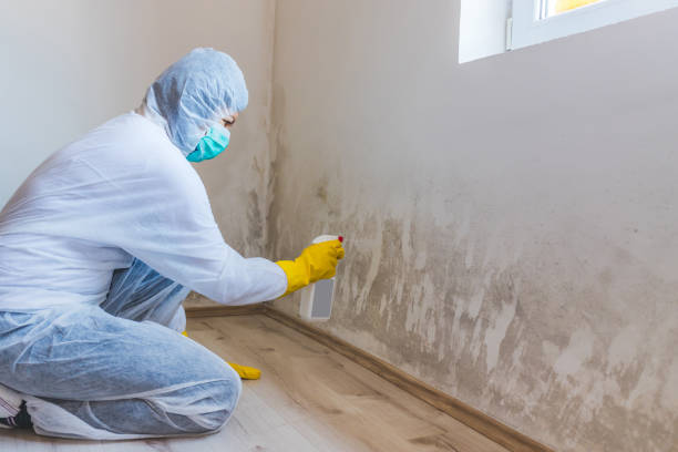 Mold Remediation specialist working in Glen Ridge