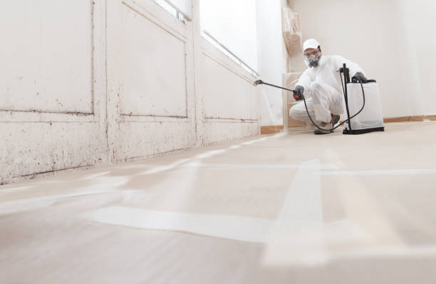 Black mold remediation team in Glen Ridge